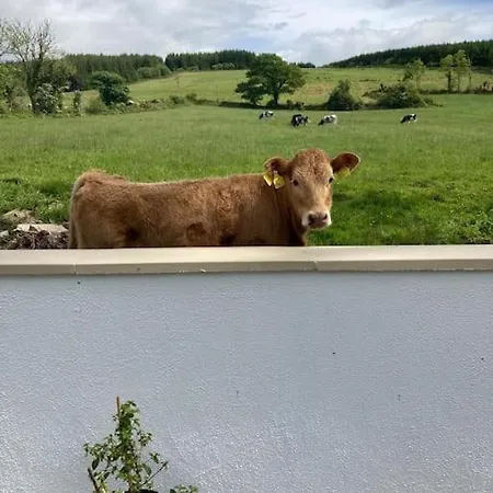 Toms בית נופש *